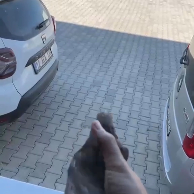Apartman boşluğuna düşen sığırcık kurtarıldı