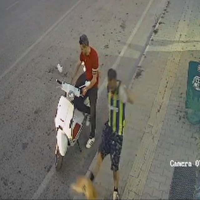 Kediye tekme atan şüpheli yakalandı