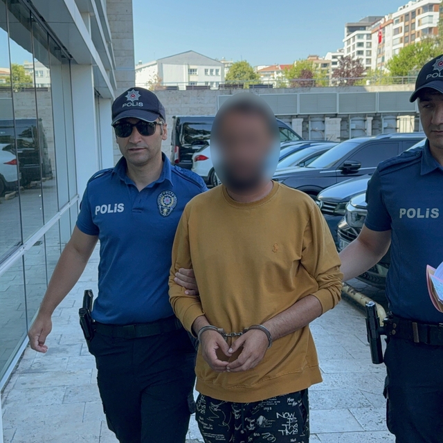 Kediye tekme atarken kameraya yansıyan şahıs yakalandı