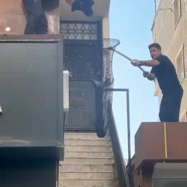 Batman'da metruk binada kilitli kalan 5 yavru kedi kurtarıldı