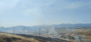 Elazığ'daki yangında 40 dönümlük arpa küle döndü