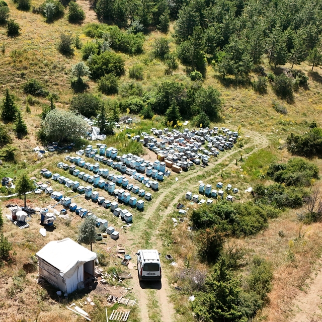 Yozgat'ın zengin bitki örtüsü arıcılara umut oldu