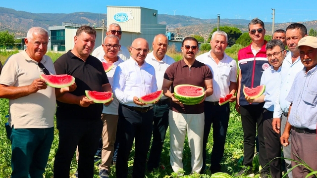 Cincin karpuzunda ilk hasat heyecanı yaşandı
Törenle hasat edilen karpuzların, kamyonlara yüklendi