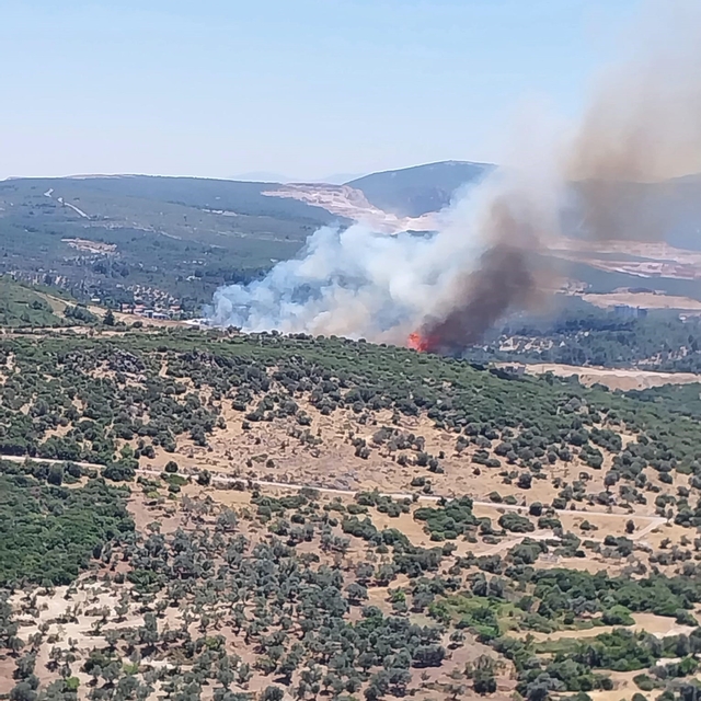 İzmir'de orman yangınına havadan ve karadan müdahale