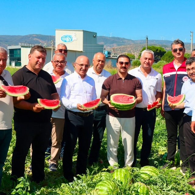 Cincin karpuzunda ilk hasat heyecanı yaşandı
Törenle hasat edilen karpuzlar...
