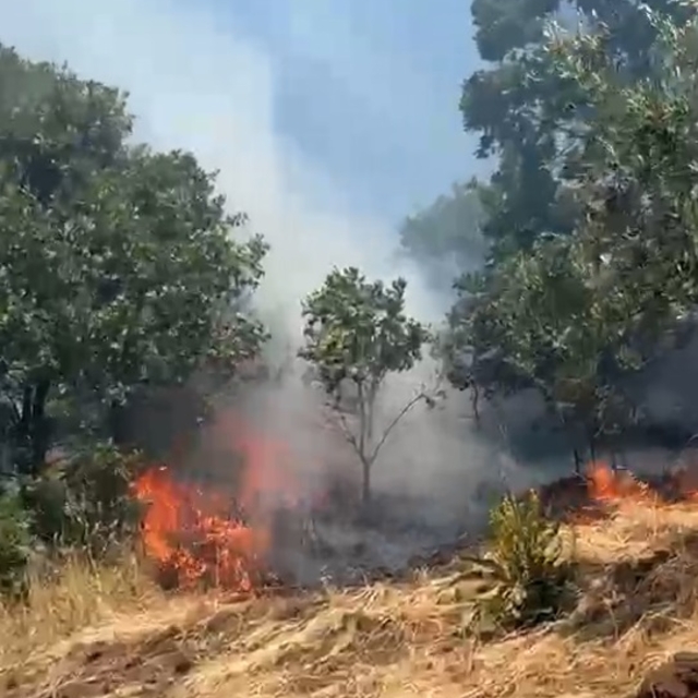 Anız yangını, ormana sıçramadan söndürüldü