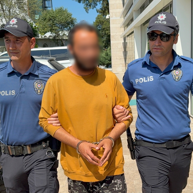 Kediye tekme atan şahıs tutuklandı: "Sinirliydim, pişmanım"
