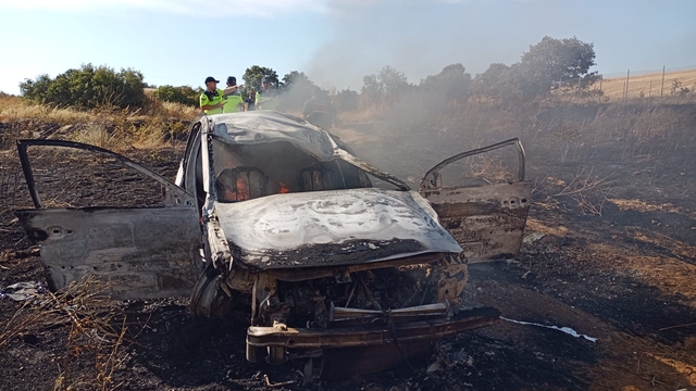 Kaza yapan otomobilde çıkan yangın, otluk alana sıçradı; 4 yaralı