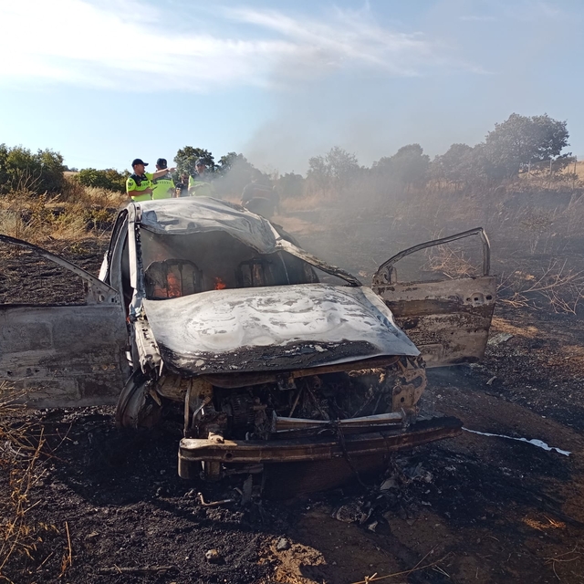 Kaza yapan otomobilde çıkan yangın, otluk alana sıçradı; 4 yaralı