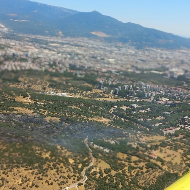 İzmir'de orman yangını (2)