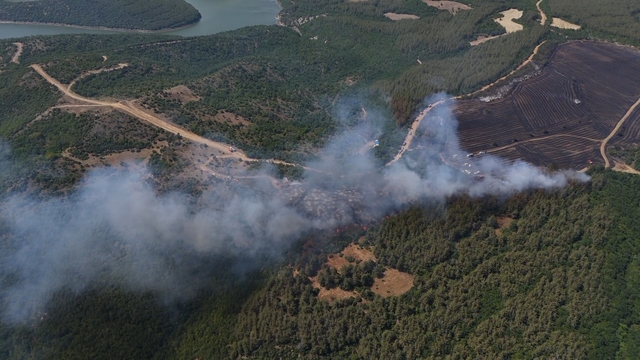 Anızdan ormana sıçrayan yangın dron ile görüntülendi
