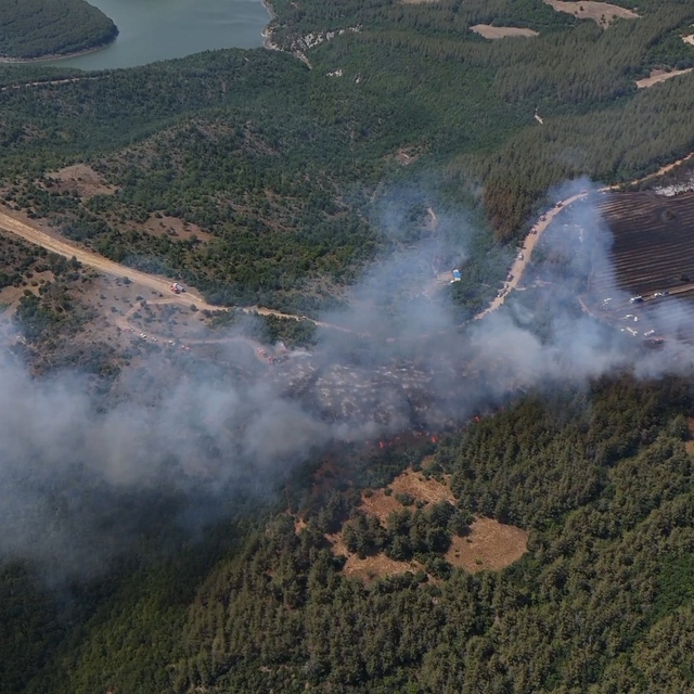 Anızdan ormana sıçrayan yangın dron ile görüntülendi