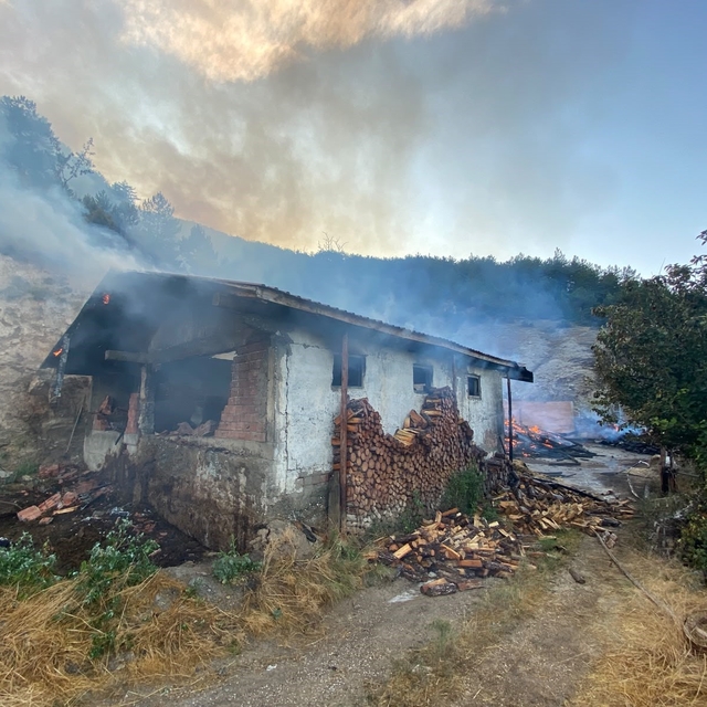 Kastamonu'da evde çıkan yangın ormana sıçradı