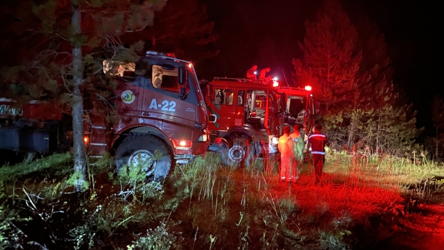 Kastamonu'daki orman yangını kontrol altına alındı