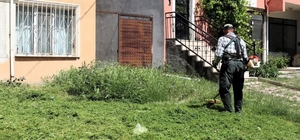 Söğüt'te çim biçme ve ilaçlama çalışmaları aralıksız devam ediyor