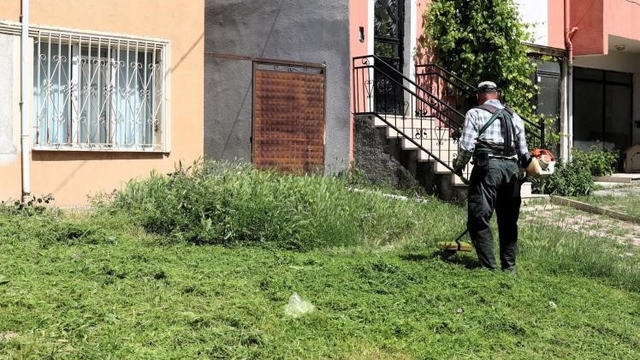 Söğüt'te çim biçme ve ilaçlama çalışmaları aralıksız devam ediyor