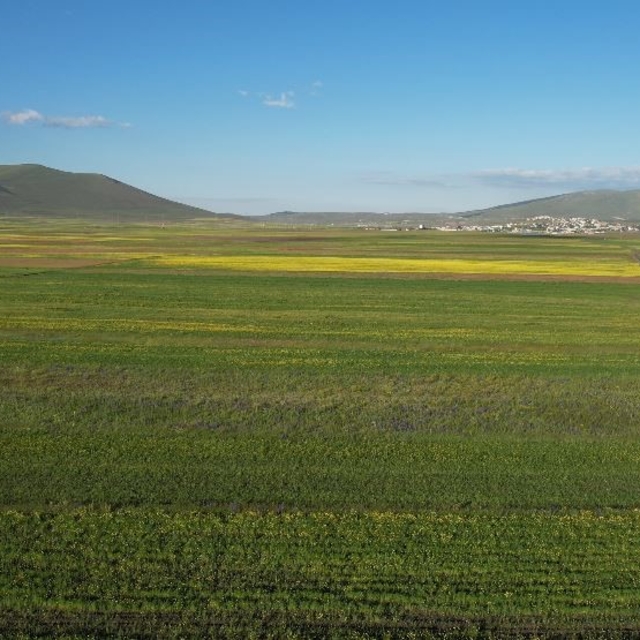 Yazın renk cümbüşüne bürünen Ardahan ovası havadan görüntülendi