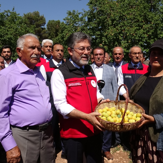 Malatya'da kayısı hasadına katılan Bakan Yumaklı: "Geçtiğimiz senenin o kar...