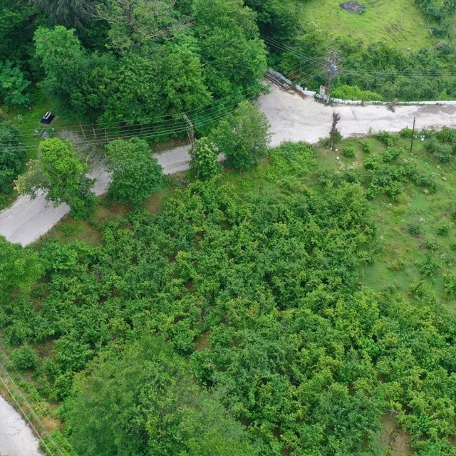 Ordu'da beton yol çalışmaları