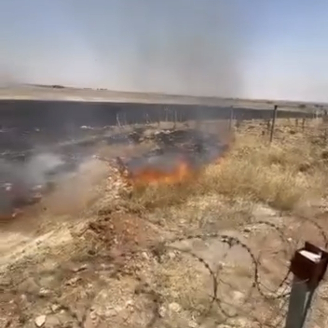 Mardin'de çıkan anız yangınına müdahale ediliyor