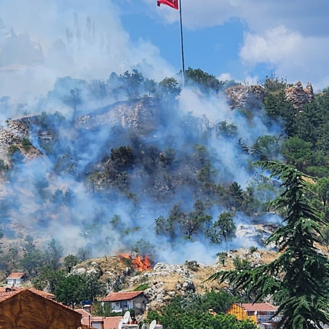 Tarihi Kütahya Kalesi çevresindeki otluk alanda yangın