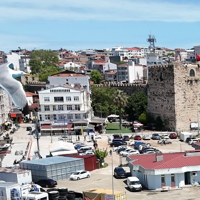 Sinop'ta trafiğe kayıtlı araç sayısı 87 bin 412 oldu: Motosiklet ilk sırada