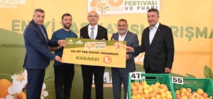 'En İyi Kayısı' yarışması düzenlendi