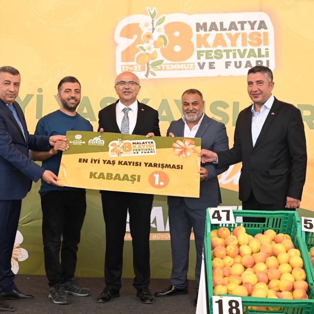 'En İyi Kayısı' yarışması düzenlendi