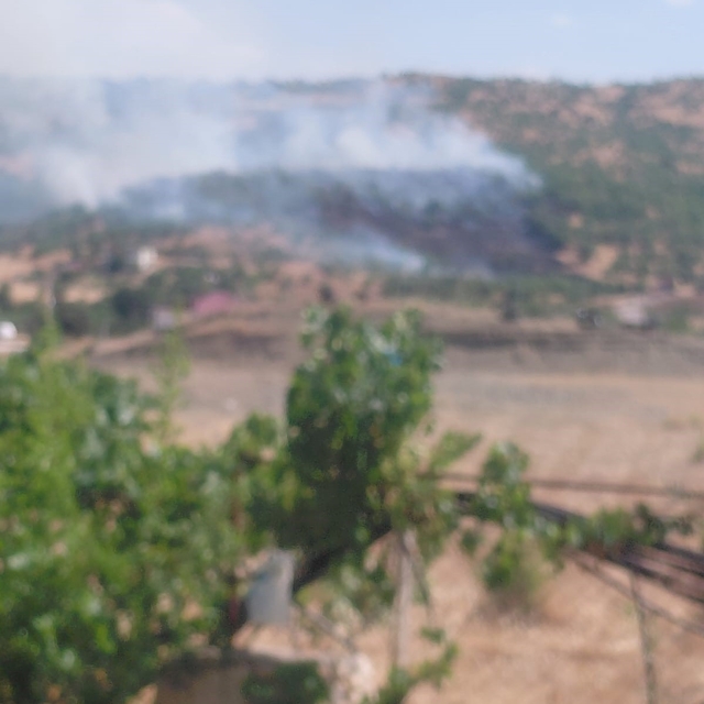 Dicle'de örtü yangını