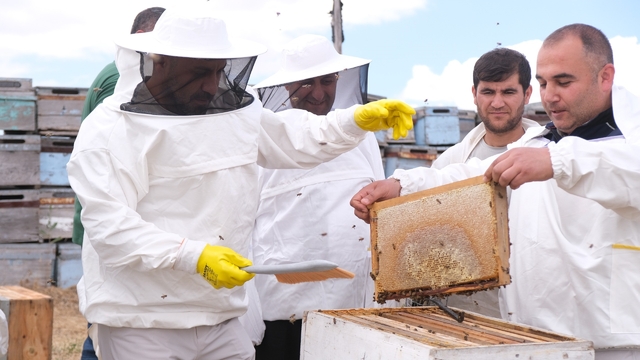 Sorgun'da sezonun ilk bal hasadı yapıldı, Sorfest 2026'da 'En İyi Bal' seçilecek