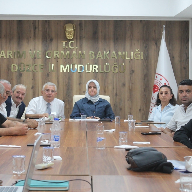 Düzce'de fındık rekolte tahmin çalışmaları değerlendirildi
Rekolteyi bakanl...