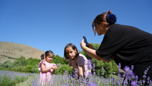 Erzincan'daki lavanta bahçesi ziyaretçilerin ilgi odağı oldu