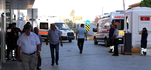 Arı sokmasına bağlı ciddi alerjik reaksiyonlar ölüme sebep olabilir