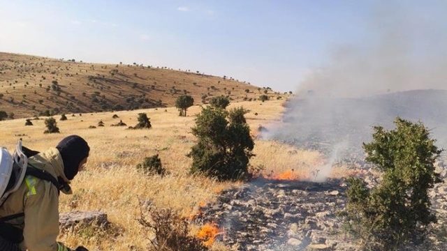 Mardin'de örtü ve anız yangını söndürüldü