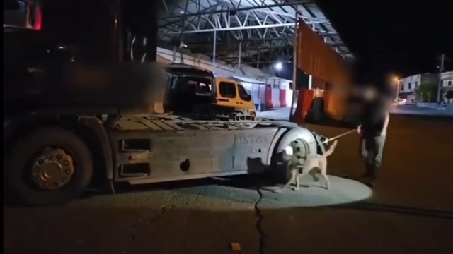 Şırnak'ta zehir yüklü tır uygulama noktasında yakalandı