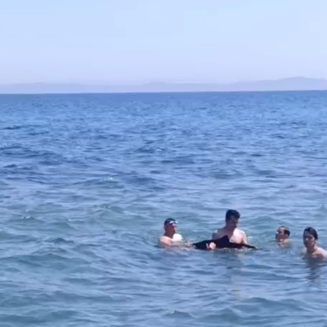 Tekirdağ'da yavru yunus yüzenlerin yanına geldi