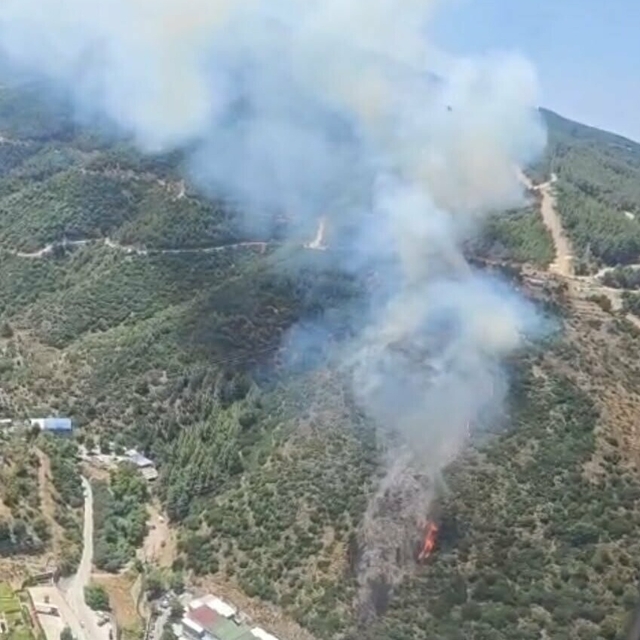 İzmir'de orman yangını
