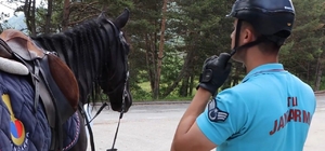 Bolu'da atlı jandarma timleri görev başında