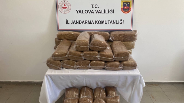 Yalova'da 160 kilo kaçak tütün ele geçirildi
