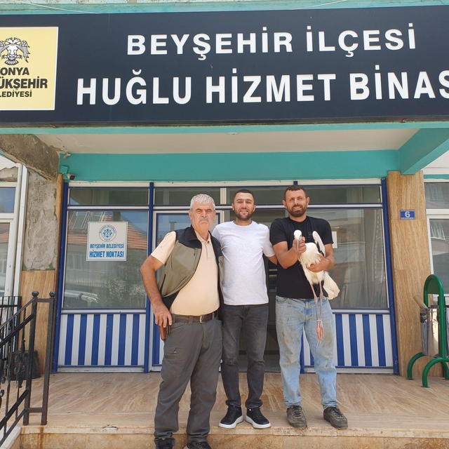 Yaralı leylek koruma altına alındı