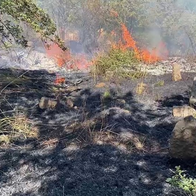 Bitlis'te peş peşe çıkan yangınlar paniğe neden oldu