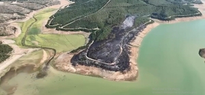 Tekirdağ'da yangında 80 dekar orman zarar gördü