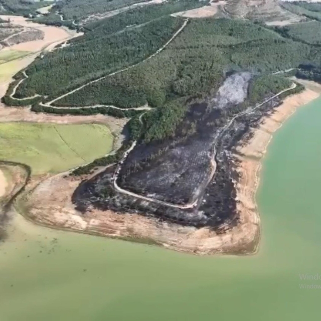 Tekirdağ'da yangında 80 dekar orman zarar gördü