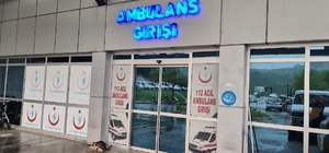 Arı sokması sonucu yoğun bakıma kaldırıldı