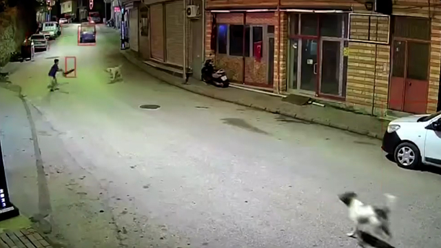 Ordu'da skuterlı çocuk köpeklerin saldırısına uğradı; o anlar kamerada