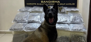 Bandırma'da gübre torbalarının altına gizlenen 11,2 kilo skunk ele geçirild...