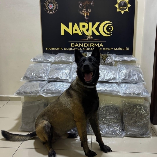 Bandırma'da gübre torbalarının altına gizlenen 11,2 kilo skunk ele geçirild...