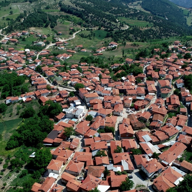 Köylülerin ürettiği peynir coğrafi işaret tescili aldı