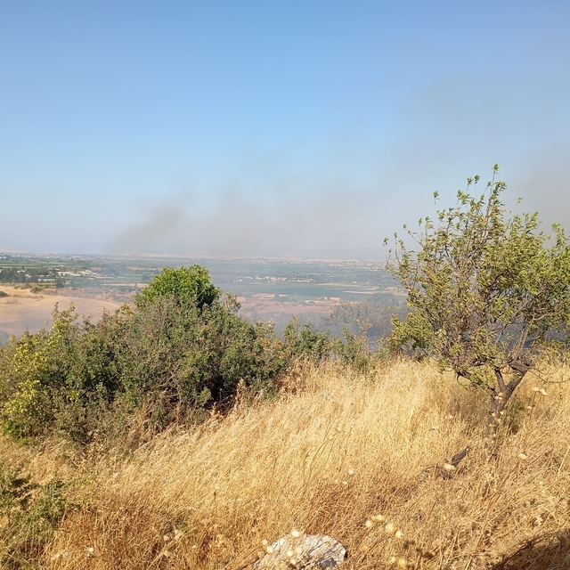 Balıkesir'de arazi yangınına Orman ve itfaiye ekipleri müdahale etti