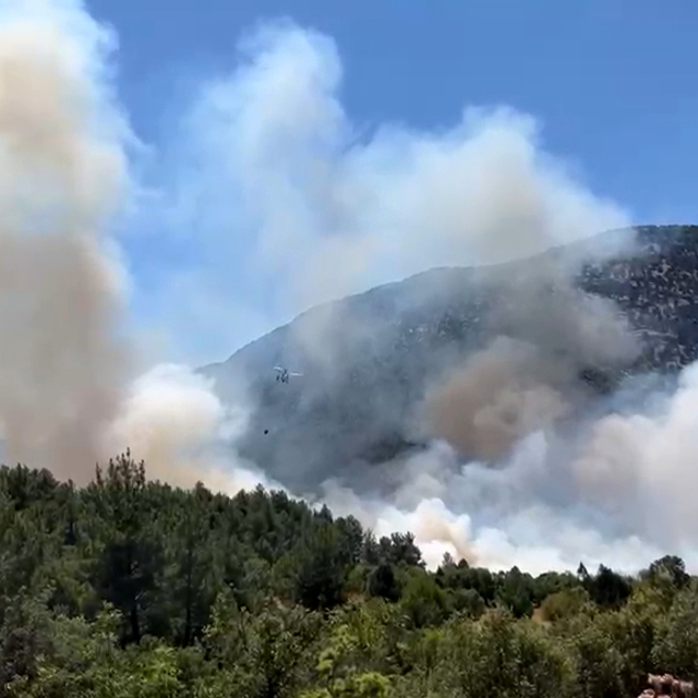 Antalya'da orman yangını